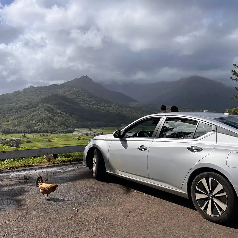 Discount Kauai Car Rentals